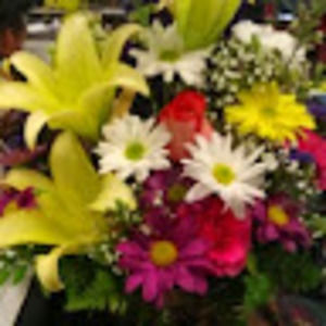 Meet your Posher, Juanita